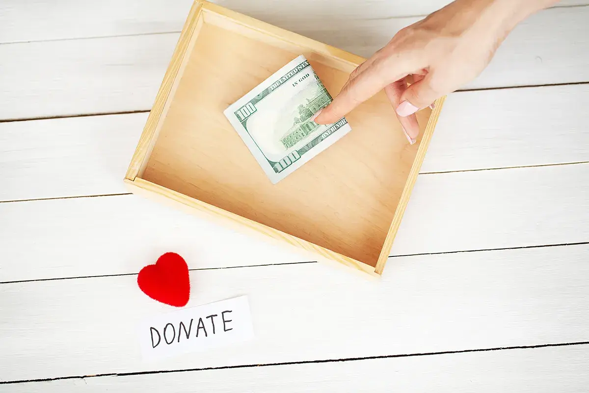 donation page image